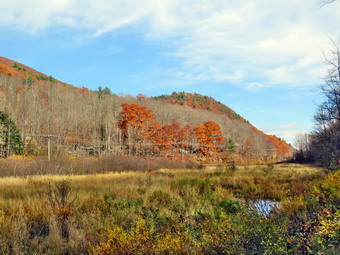 picture taken during a hike