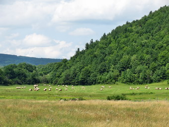 picture taken during a hike