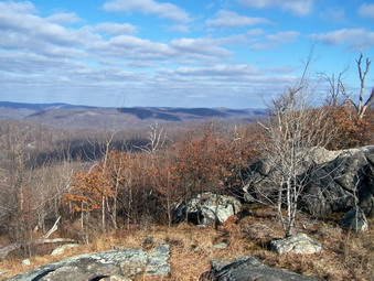 picture taken during a hike