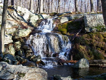 picture taken during a hike