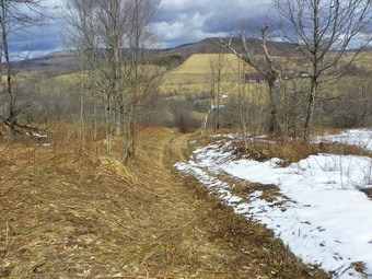 picture taken during a hike