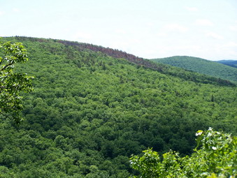 picture taken during a hike