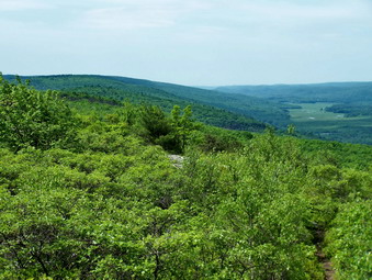 picture taken during a hike