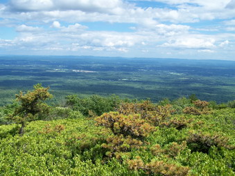 picture taken during a hike