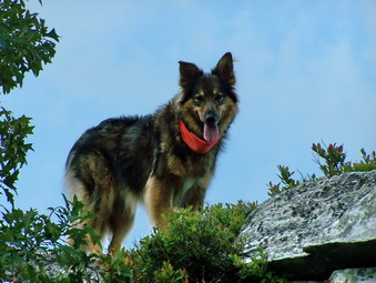 picture taken during a hike