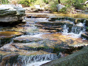 picture taken during a hike