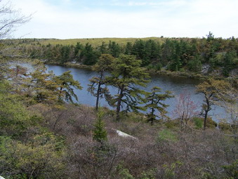 picture taken during a hike