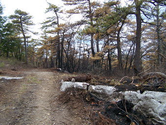 picture taken during a hike