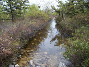 picture taken during a hike