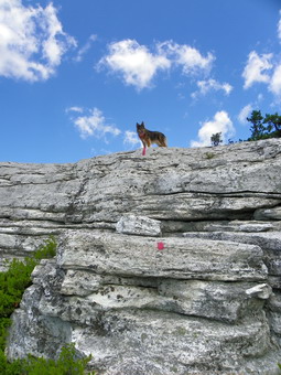 picture taken during a hike