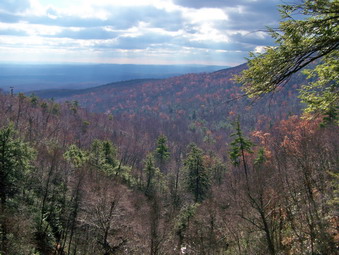 picture taken during a hike