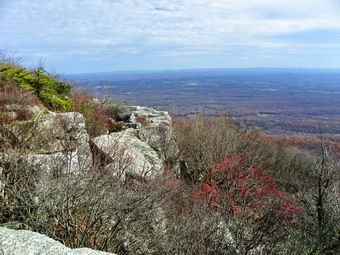 picture taken during a hike