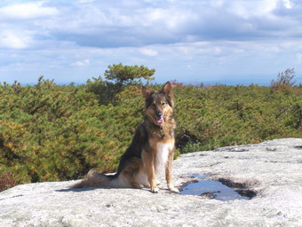 picture taken during a hike