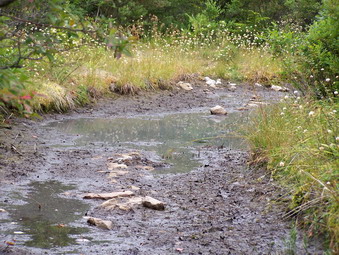 picture taken during a hike