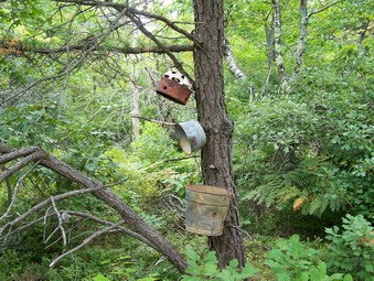 picture taken during a hike