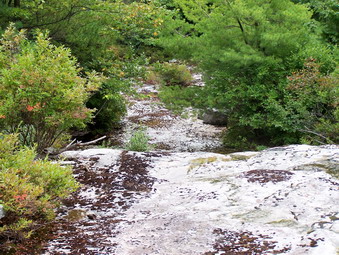 picture taken during a hike