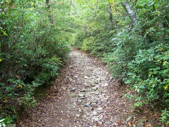 picture taken during a hike