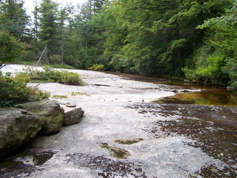 picture taken during a hike