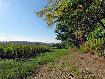 picture taken during a hike