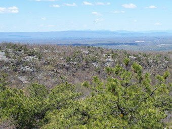 picture taken during a hike