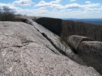 picture taken during a hike