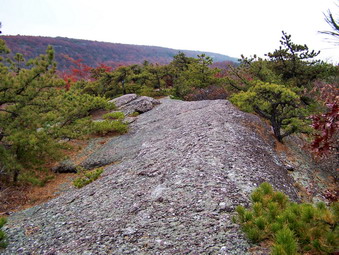 picture taken during a hike