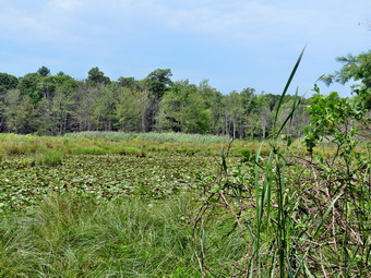 picture taken during a hike