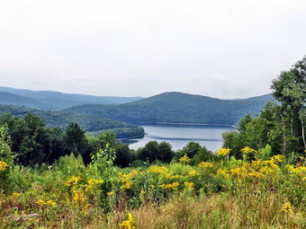 picture taken during a hike