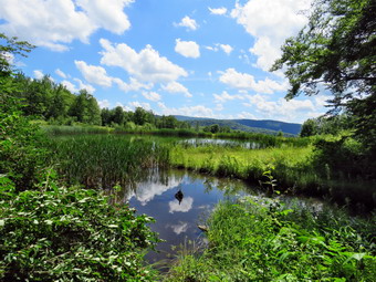 picture taken during a hike