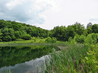 picture taken during a hike