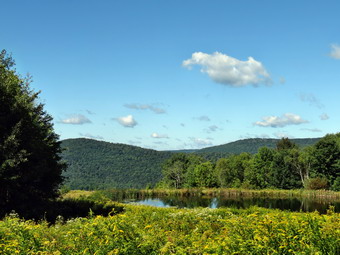 picture taken during a hike