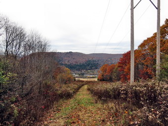 picture taken during a hike