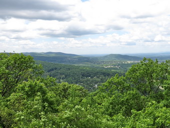 picture taken during a hike