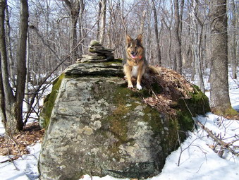 picture taken during a hike