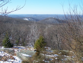 picture taken during a hike