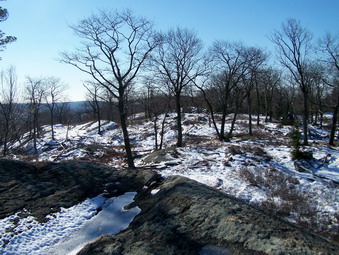 picture taken during a hike