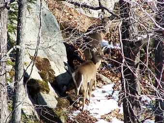 picture taken during a hike