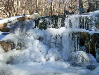 picture taken during a hike