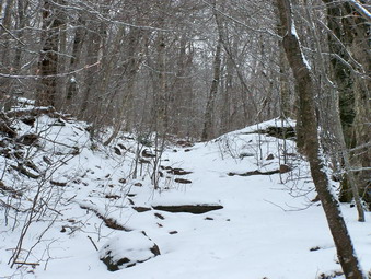 picture taken during a hike