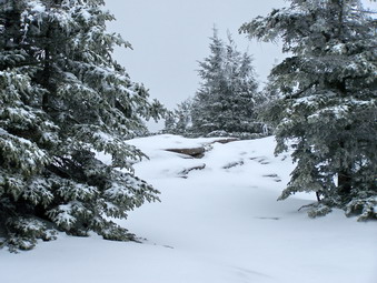 picture taken during a hike