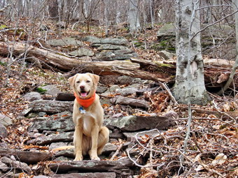 picture taken during a hike