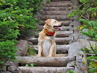 picture taken during a hike