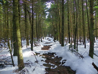 picture taken during a hike