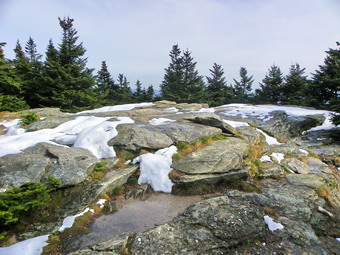 picture taken during a hike