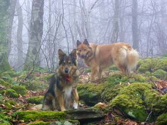 picture taken during a hike