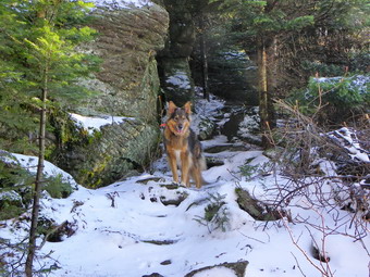 picture taken during a hike