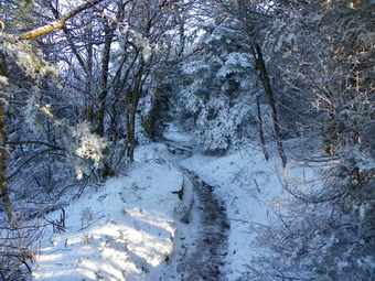 picture taken during a hike