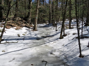 picture taken during a hike