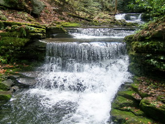 picture taken during a hike