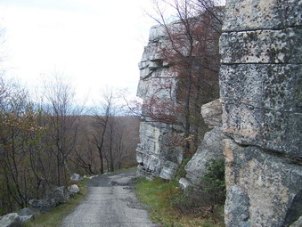 picture taken during a hike